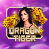 Dragon Tiger live dealer table on Megapari Login